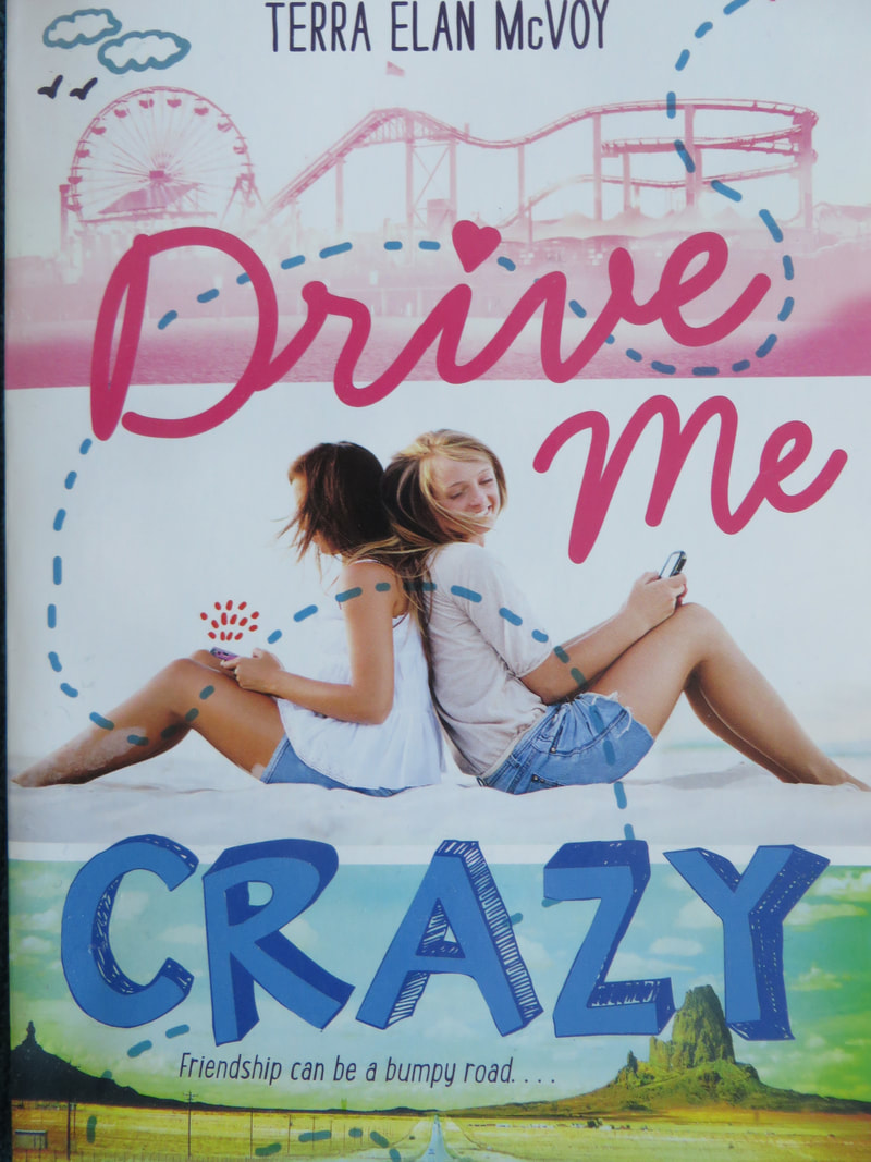 Drive Me Crazy book cover