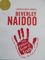 The Other Side of Truth book cover