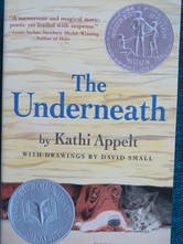 The Underneath book cover