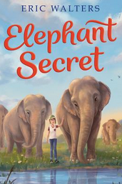 Elephant Secret book cover