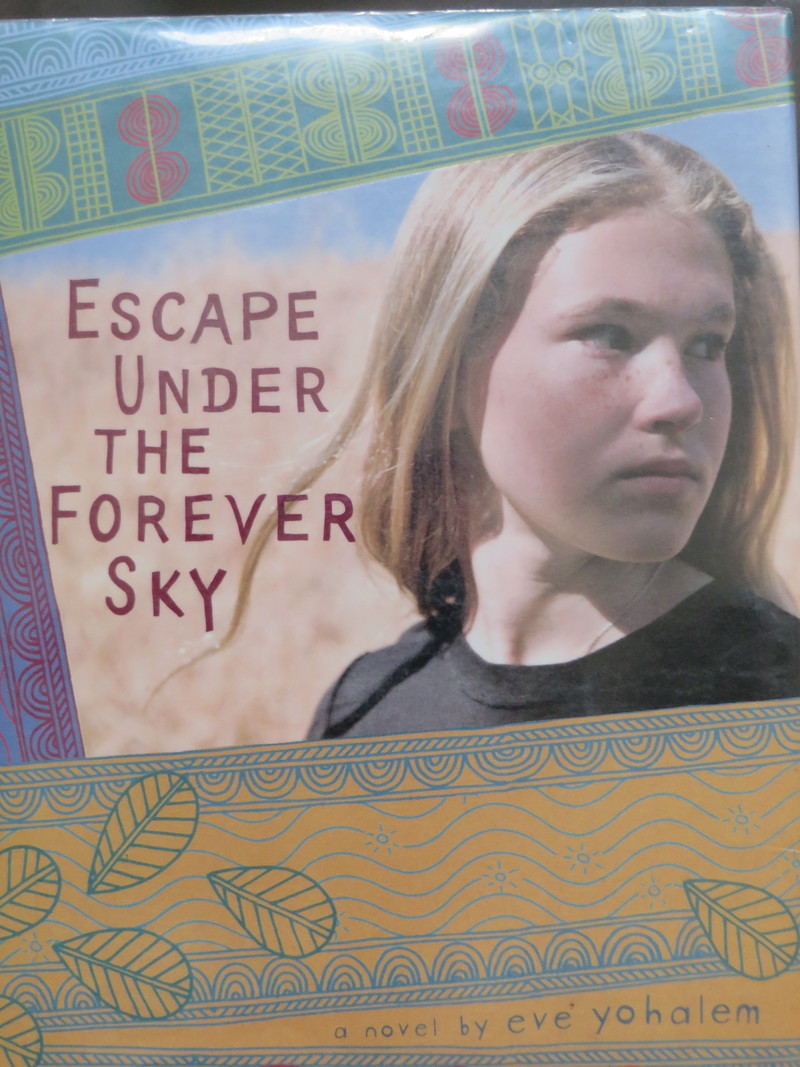 Escape Under the Forever Sky book cover