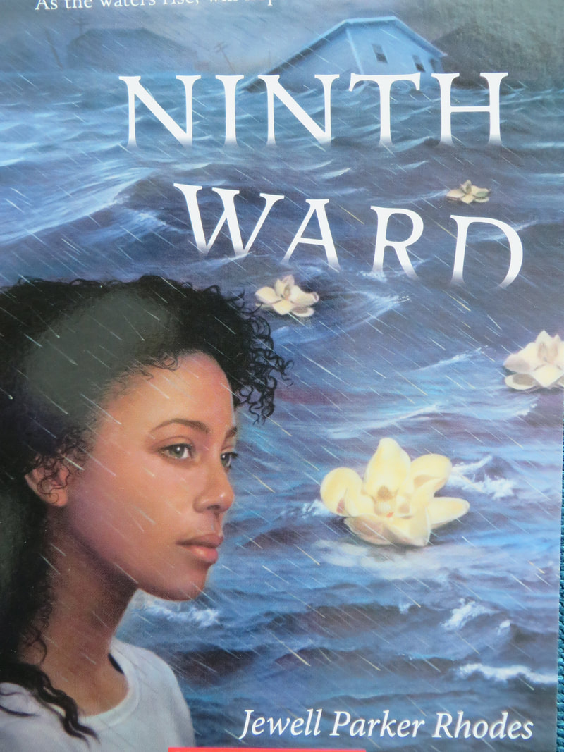 Ninth Ward book cover