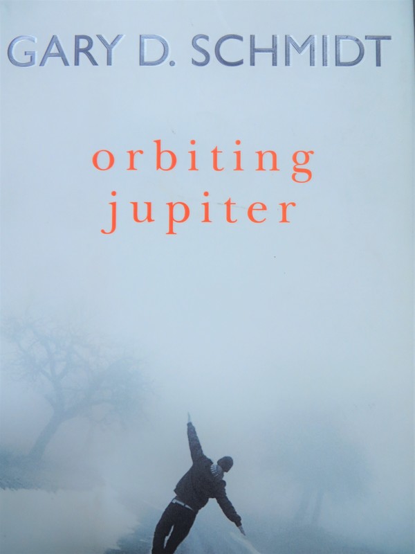 Orbiting Jupiter book cover